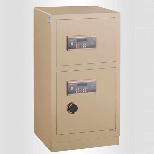 17c.免费登录入口（xiū）福瑞係列電子保管箱 BGX-5/D1-100SFR