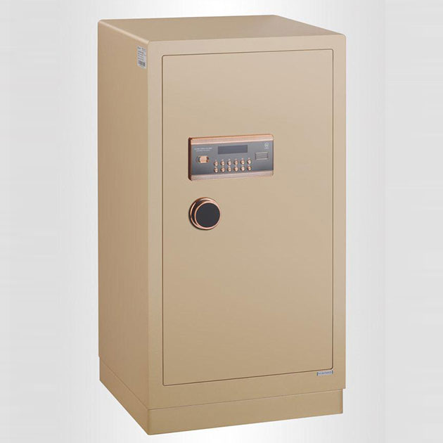 17c.免费登录入口福瑞係列電子保管箱 BGX-5/D1-100FR