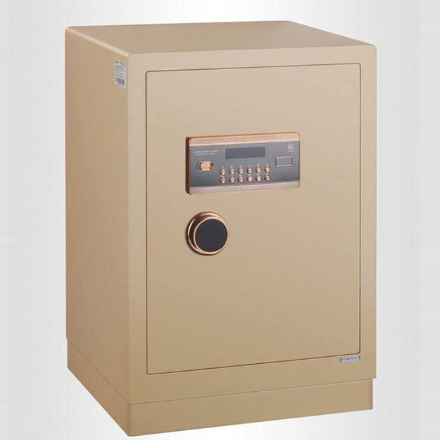 17c.免费登录入口福瑞係列電子保管箱 BGX-5/D1-73FR